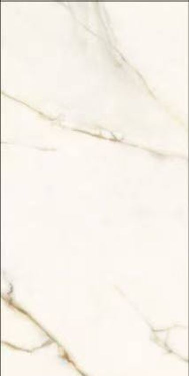 Time Dorado Matte 12 x 24